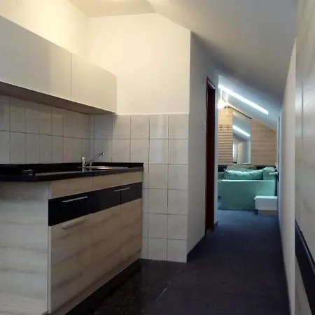 Garni Consul 3* Nis